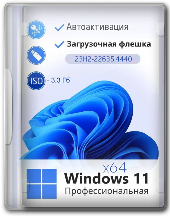 Windows 11 Pro 23H2 64      