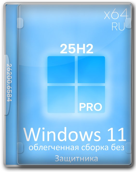 Windows 11  64  25H2   